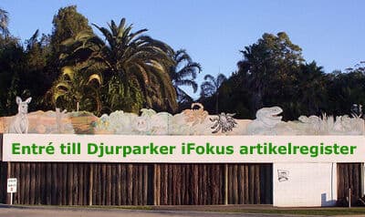 Artiklar på Djurparker iFokus